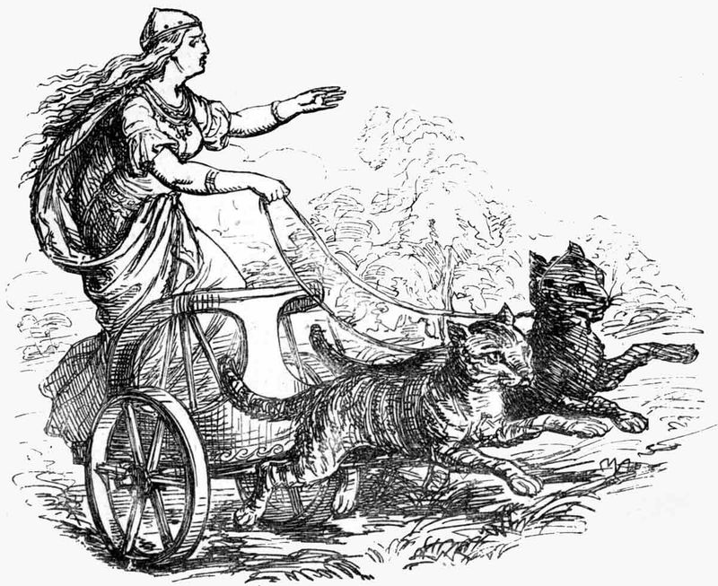 Cats and the Viking Lore of Freyja