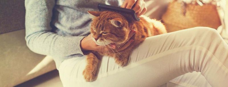 Changes in Grooming Habits