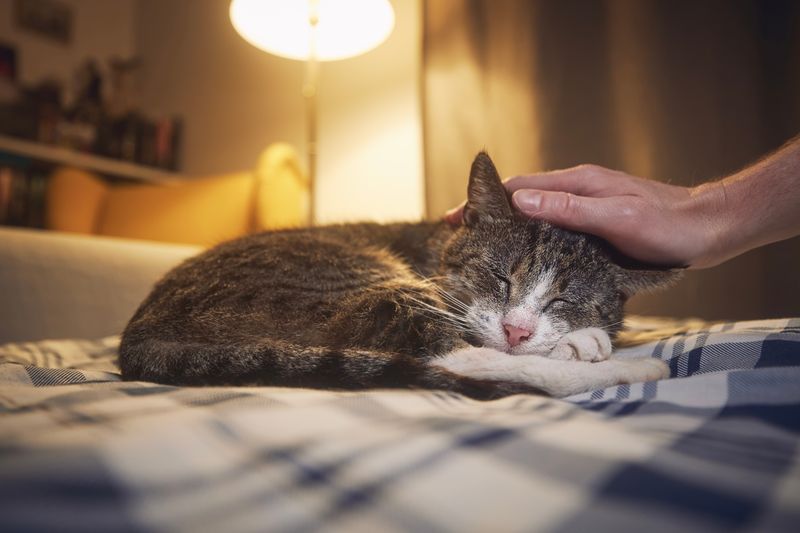 Changes in Sleeping Patterns