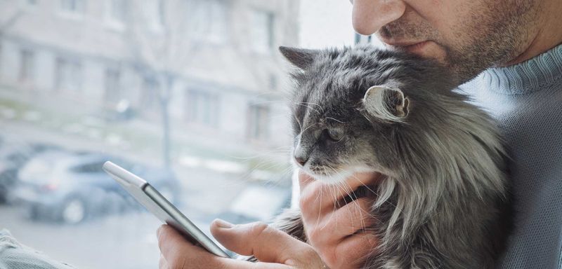 Gather Your Pet’s Medical Records
