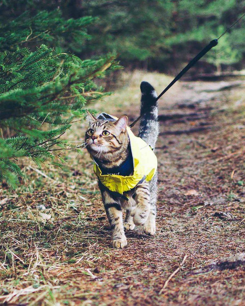 Choose the Right Trail