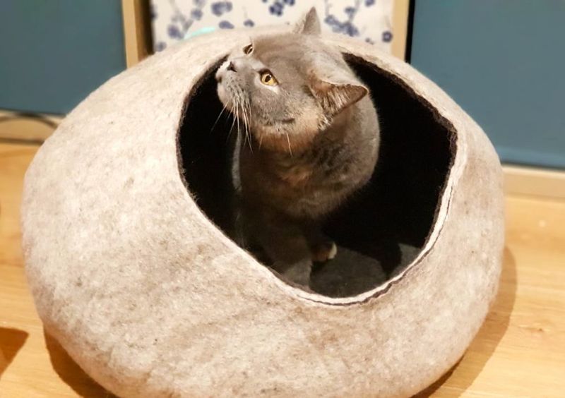 Sniffing and Scratching the Area