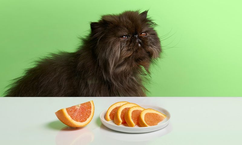 Citrus