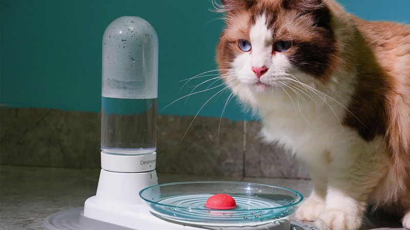 Provide Fresh Water