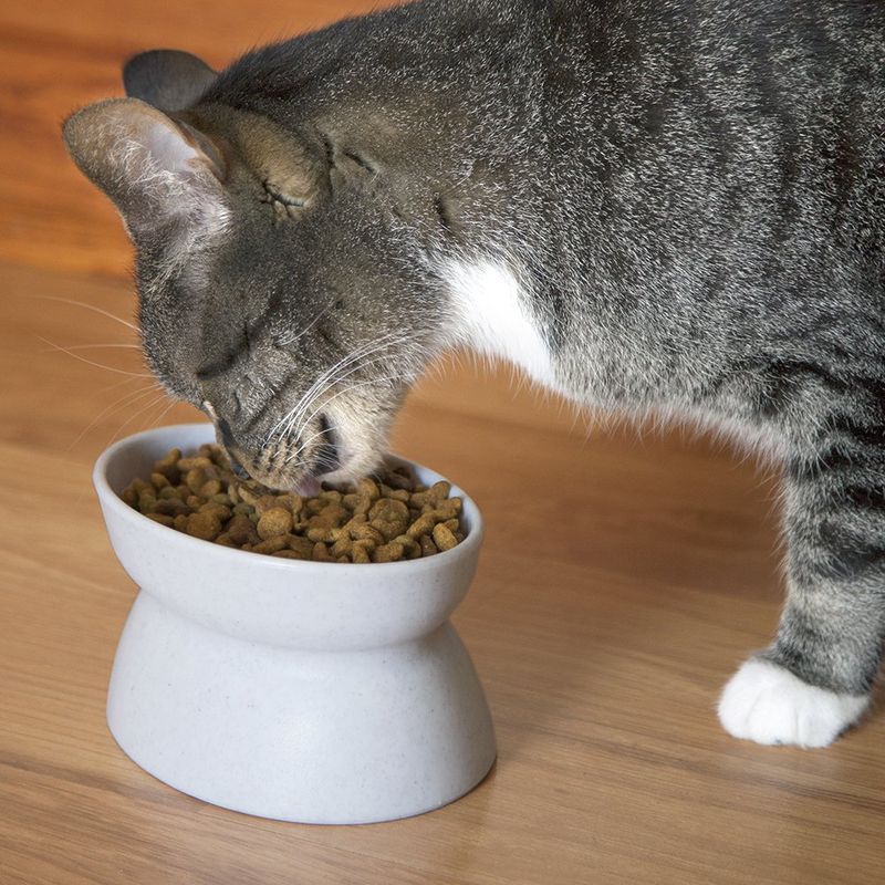 Offer Smaller, Frequent Meals