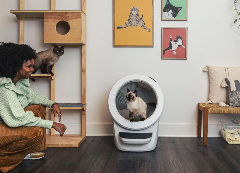 Sleek Tech That Fits Modern Living