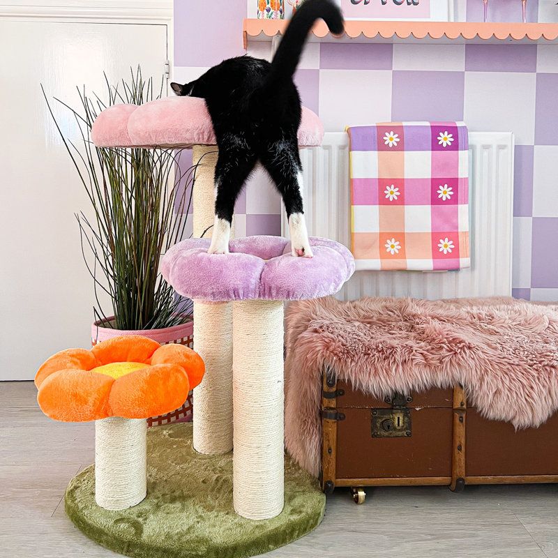 Lounge Lovers Need Plush and Peace
