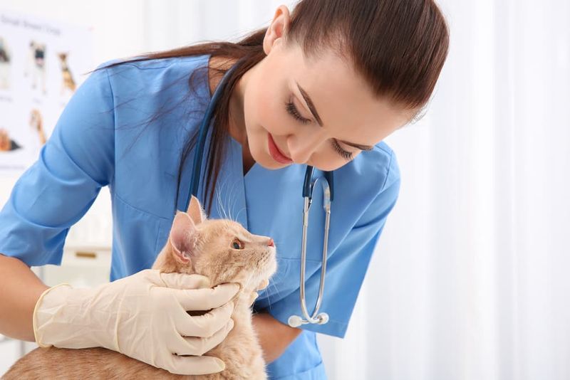 Poor Grooming or Neglected Hygiene