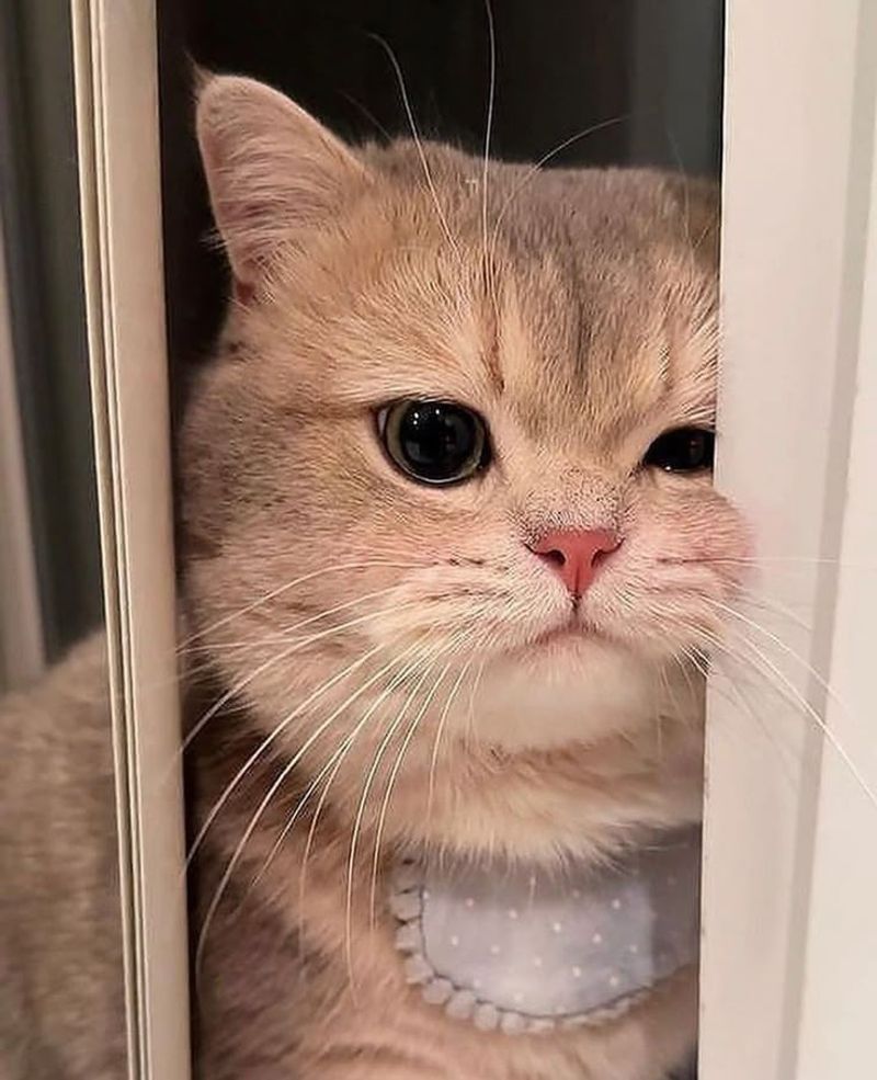 Closed Doors