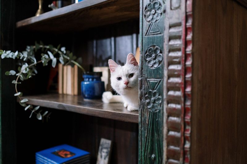 Cluttered Spaces