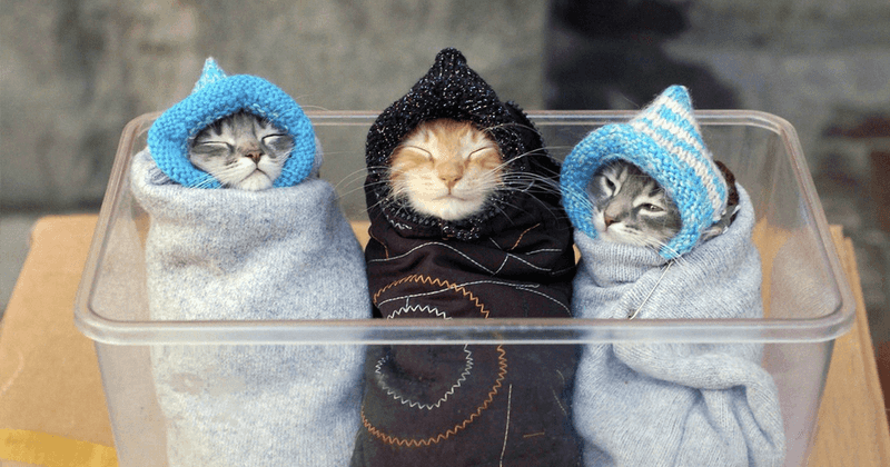 The Towel Burrito of Peace