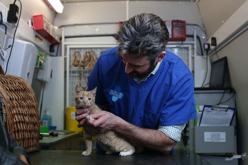 Emergency Contact Info and Vet Details