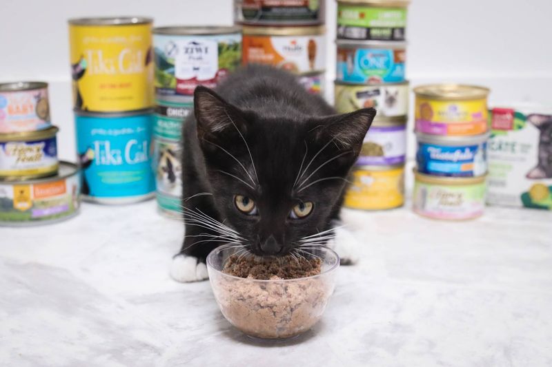 Consistent Feeding Schedule