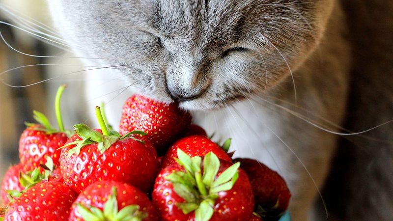 Berry