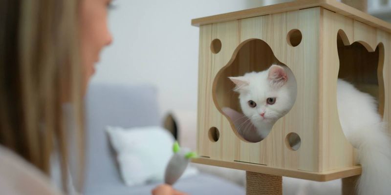 Engage in Gentle Play