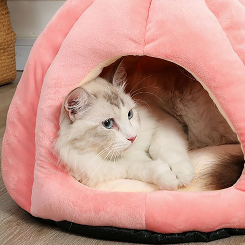 Create a Cat-Friendly Hideout