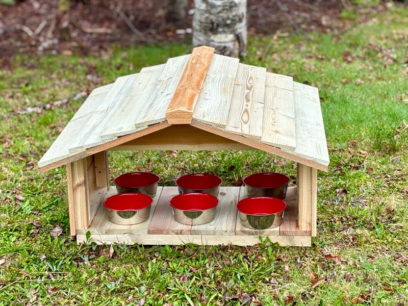 Create a Cool Feeding Station