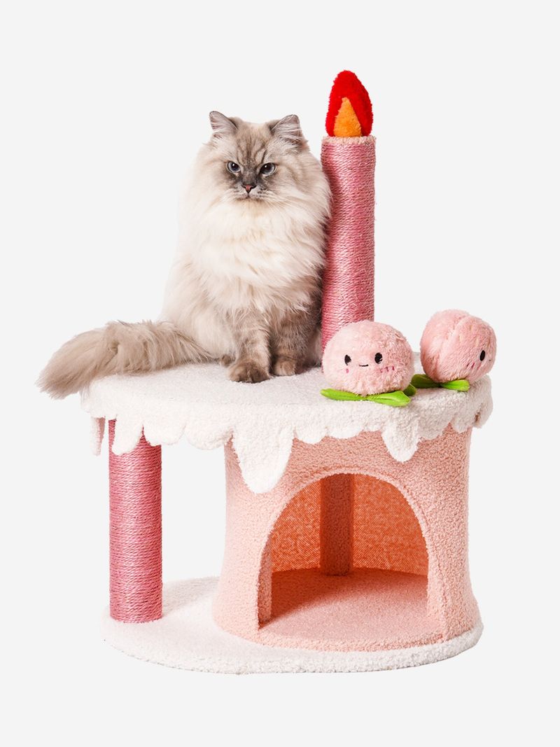 Gift a New Toy or Cat Tree