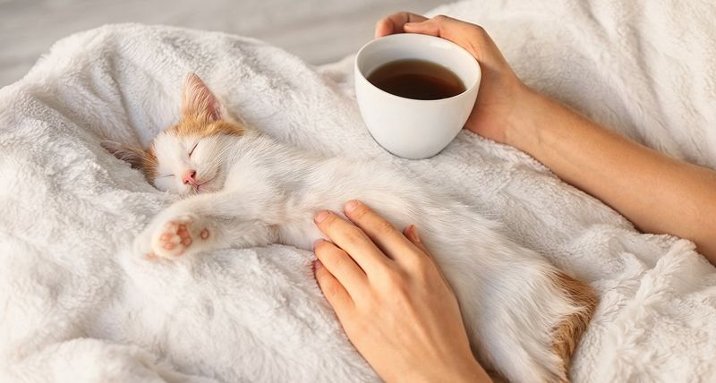 Set a Consistent Bedtime Routine