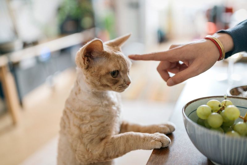 Engage in Gentle Touch Play