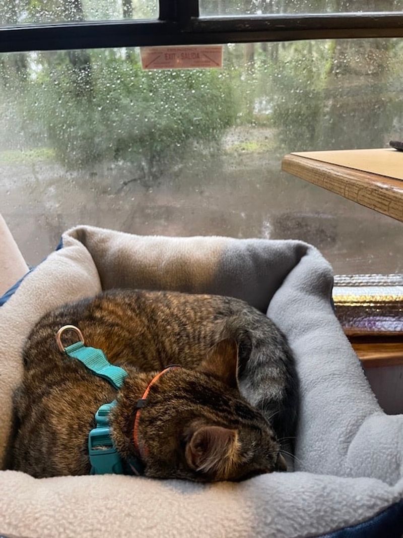 Creating a Cozy Space