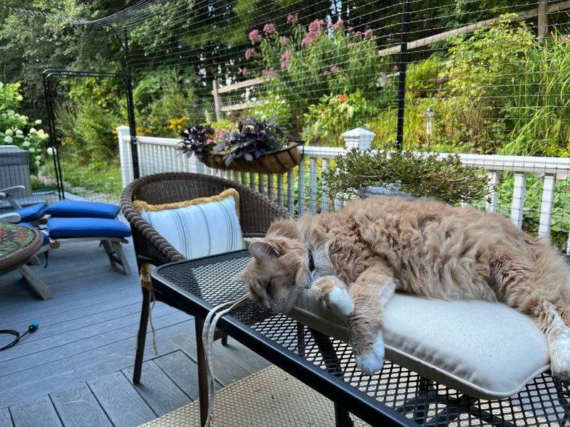 Creating a Safe Outdoor Environment