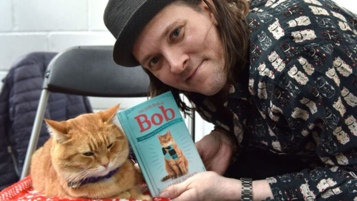 Curl Up with These 10 Cat Themed Books You’ll Absolutely Love