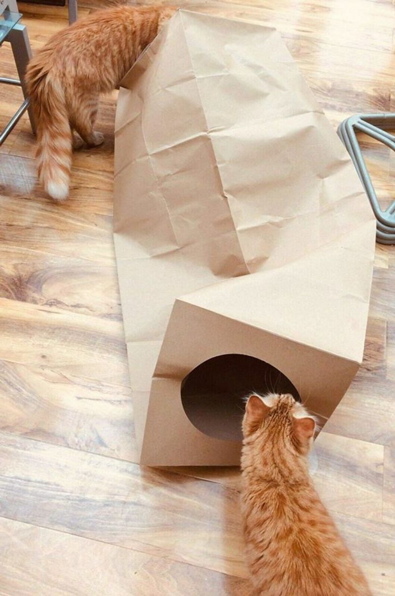 DIY Cat Tunnels