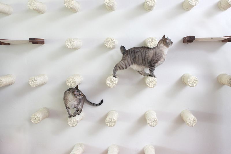 DIY Obstacle Course