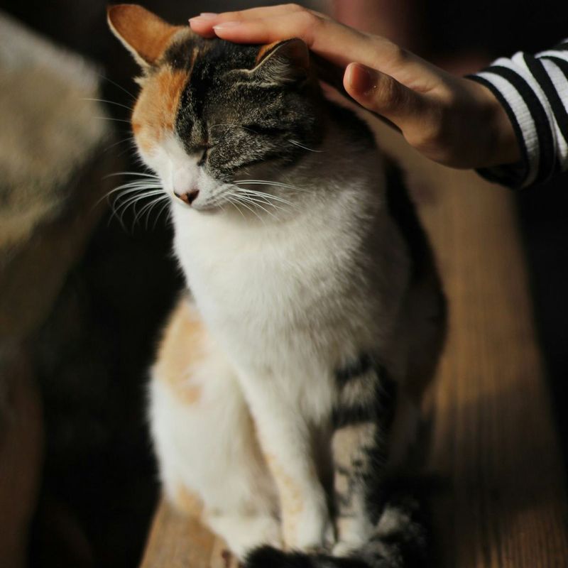 Personalized Attention
