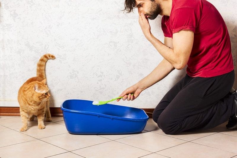 Strong or Unusual Odor (😷 Could Be a Sign of Illness)
