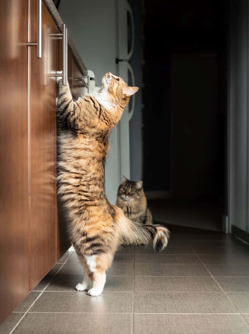 Decreased Mobility