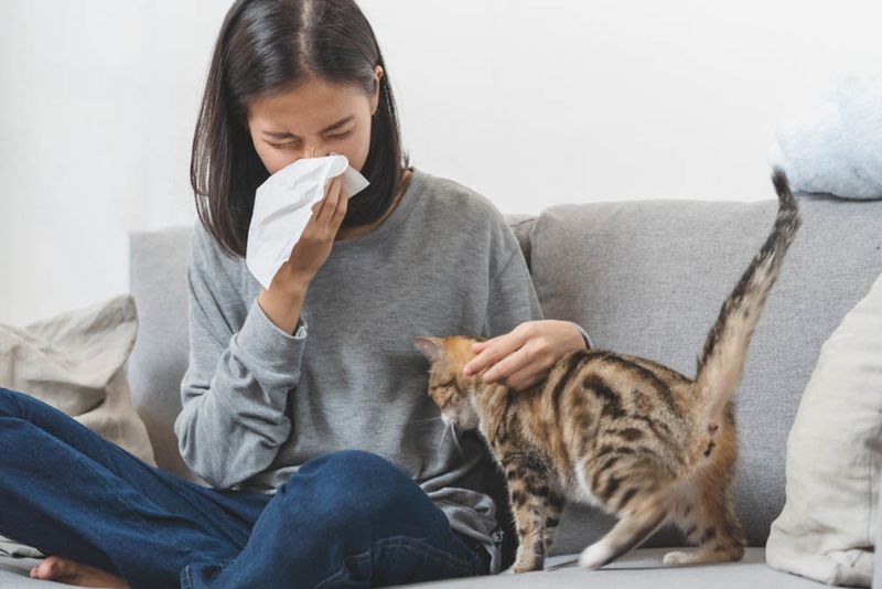 Do I Have Allergies or Does Anyone in the Home?
