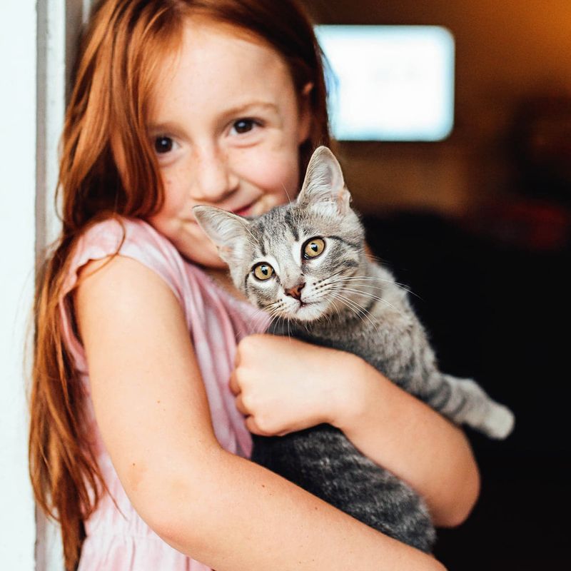 Do I Know Where to Find a Responsible Rescue or Shelter?