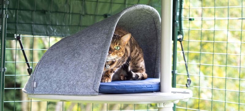 Do Provide Escape Zones