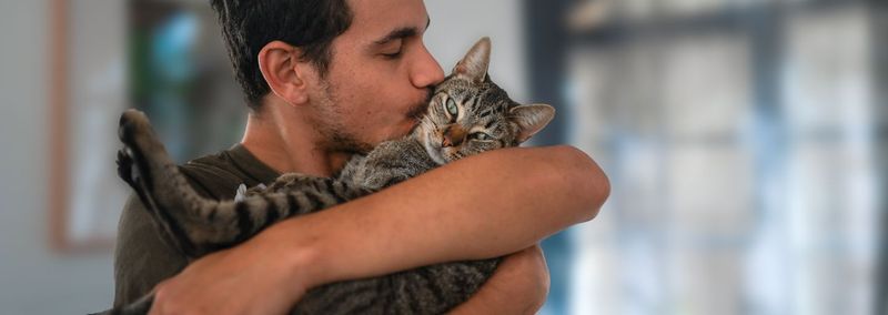 Does My Lifestyle Suit Cat Ownership?