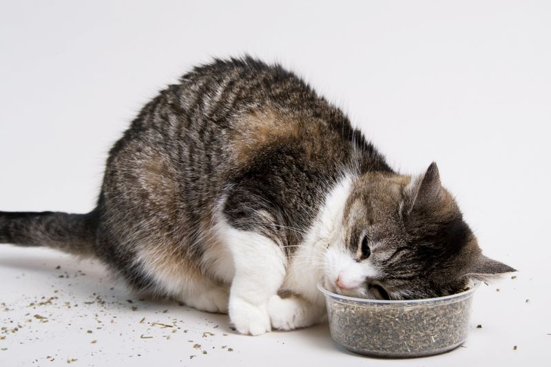 Don’t Ignore Behavioral Changes After Use