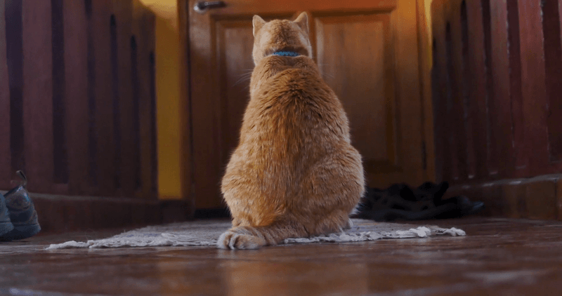 Door Keeper