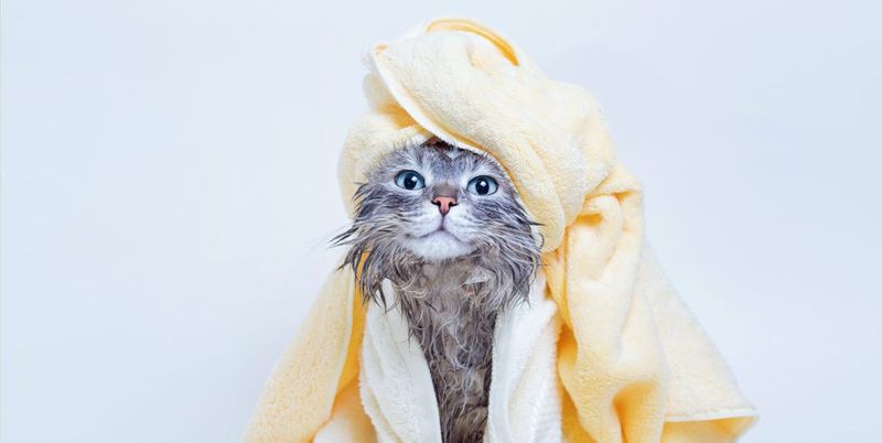Dry Gently and Completely