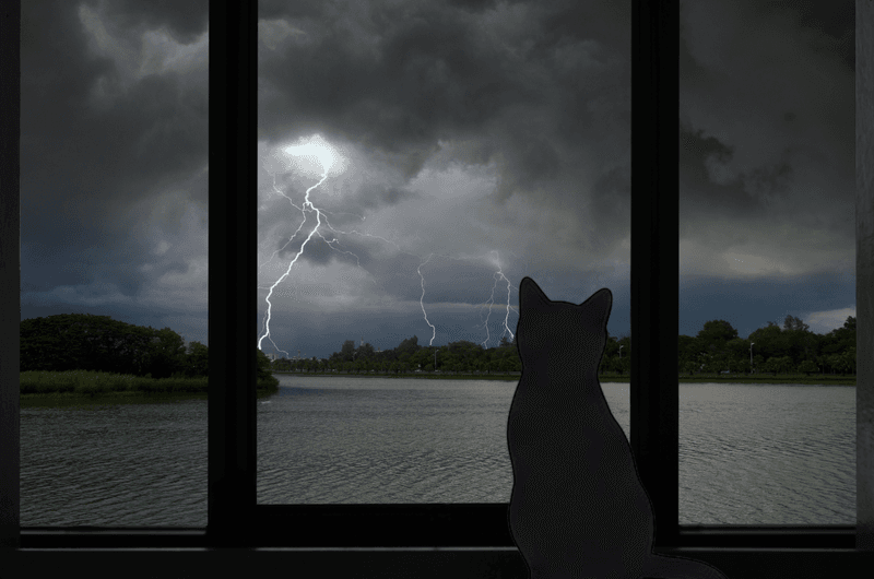 During a Thunderstorm
