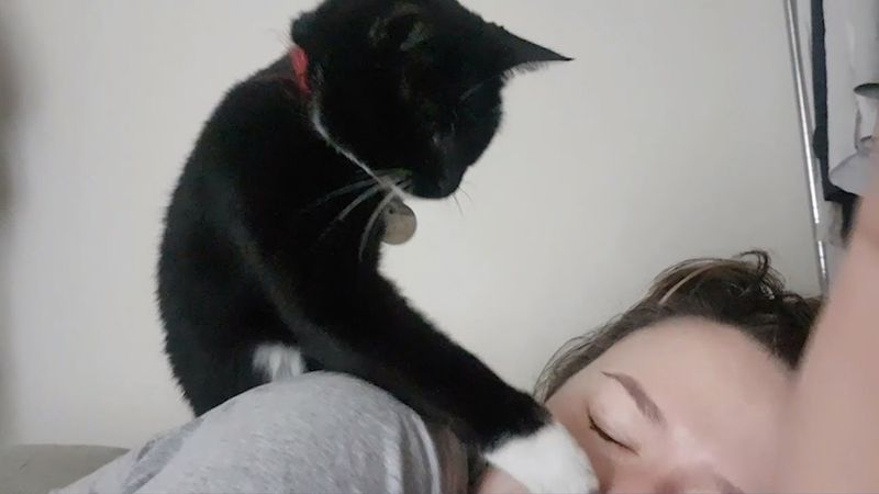 Early Morning Wake-Up Call