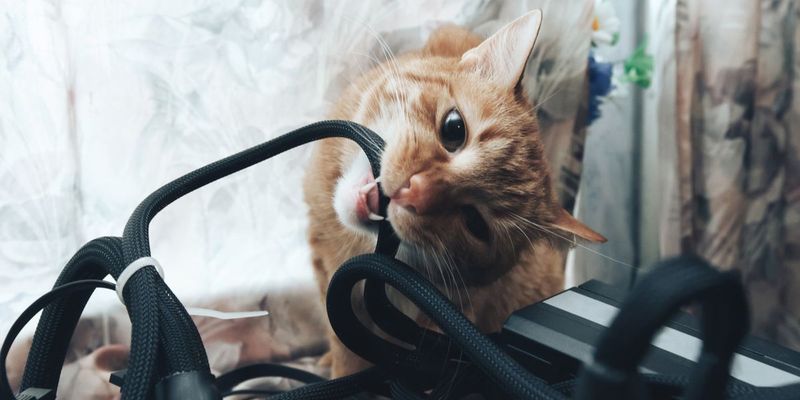 Electric Cords