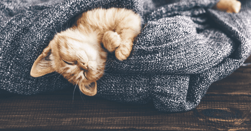 Sleep Patterns Shift