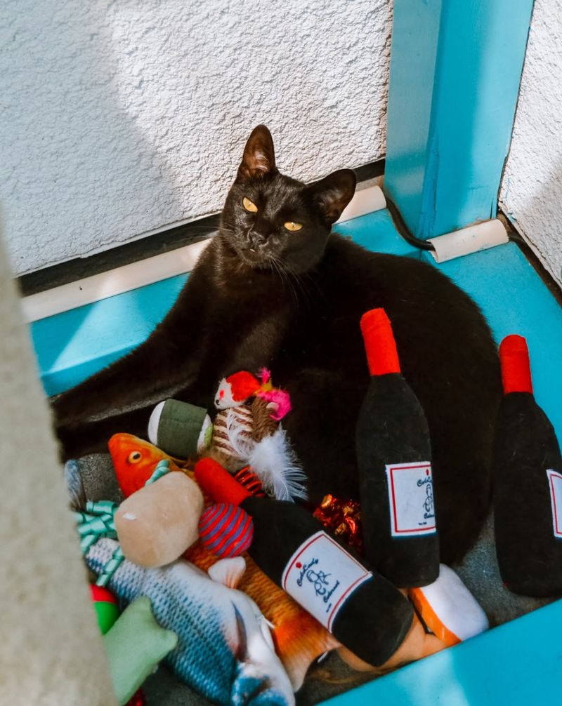 Enrichment & Entertainment
