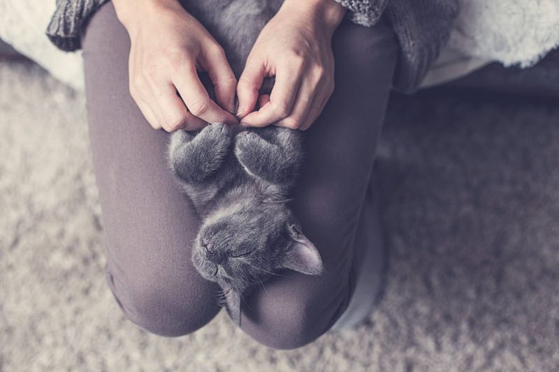 Encouraging Mindfulness