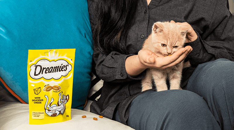 Offer a Special Nighttime Treat