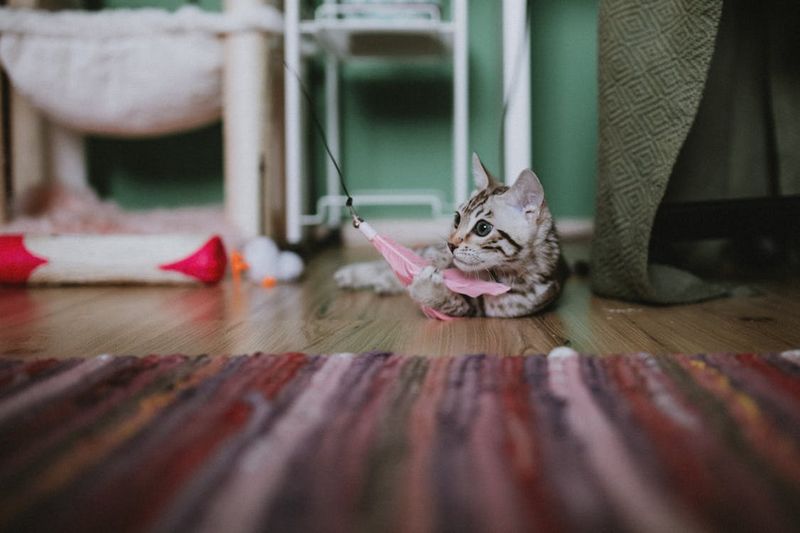 Engage in Playtime