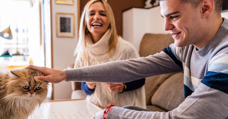 Engaging in Play Therapy