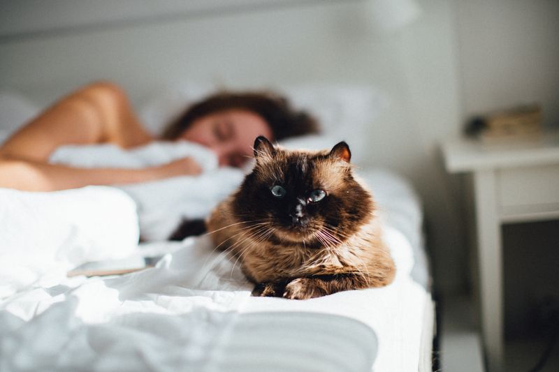 Invest in a Bigger or Better Mattress
