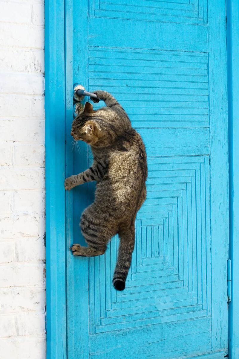 Attempts to Escape